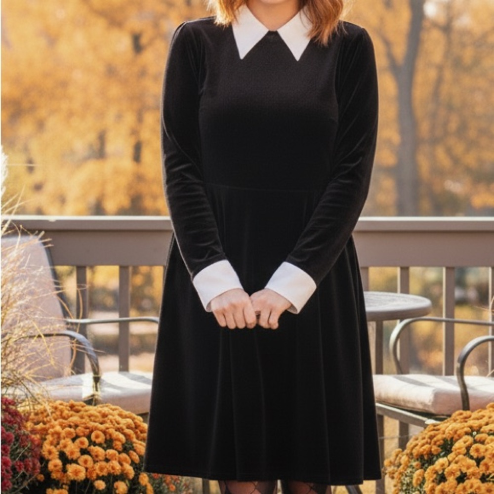 Elegant Black Long Sleeve Dress with White Collar
